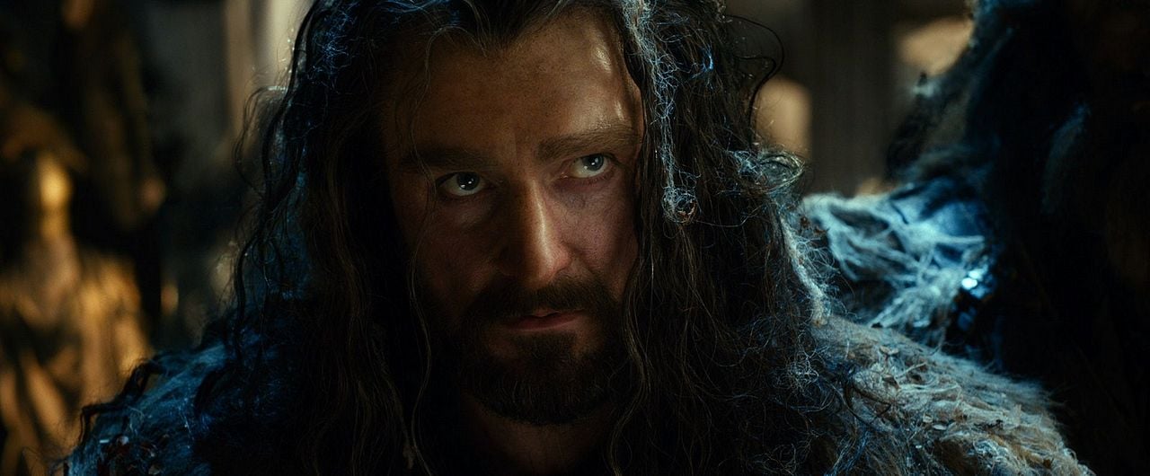 Le Hobbit : la Désolation de Smaug : Photo Richard Armitage