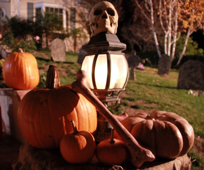 Le chien qui a sauvé Halloween : Photo