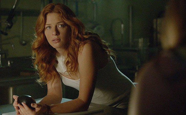 Under The Dome : Photo Rachelle LeFevre