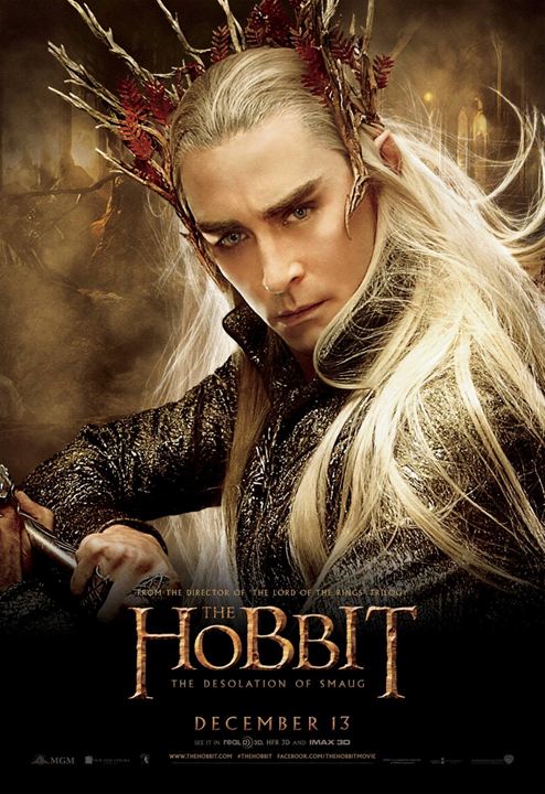 Le Hobbit : la Désolation de Smaug : Affiche