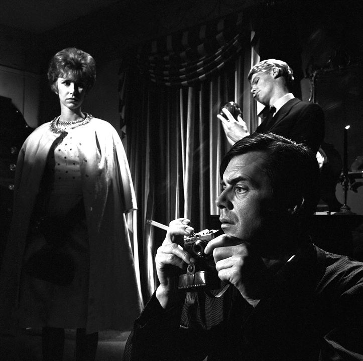 The Servant : Photo