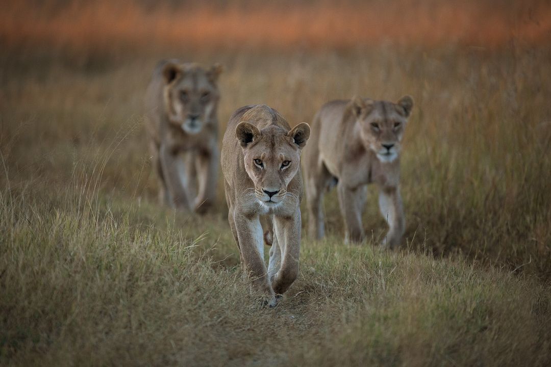 Survivre au paradis : Une histoire de famille : Photo