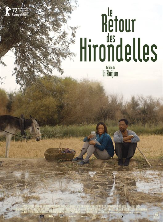 Le Retour des hirondelles : Affiche