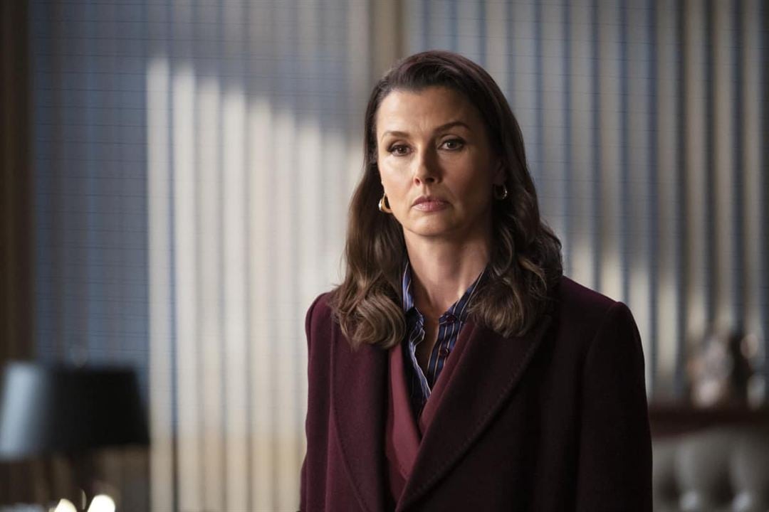 Blue Bloods : Photo Bridget Moynahan