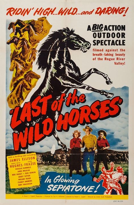 Last of the Wild Horses : Affiche