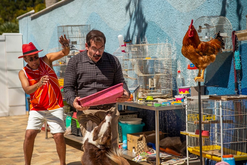 Pas moyen de s'entendre ! : Photo Maurício Manfrini, Leandro Hassum