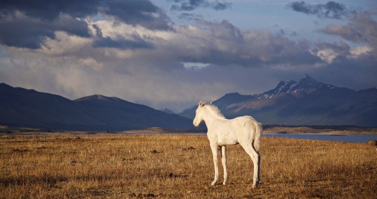 Regards Sur le Monde - Patagonie, A la lisière du monde : Photo