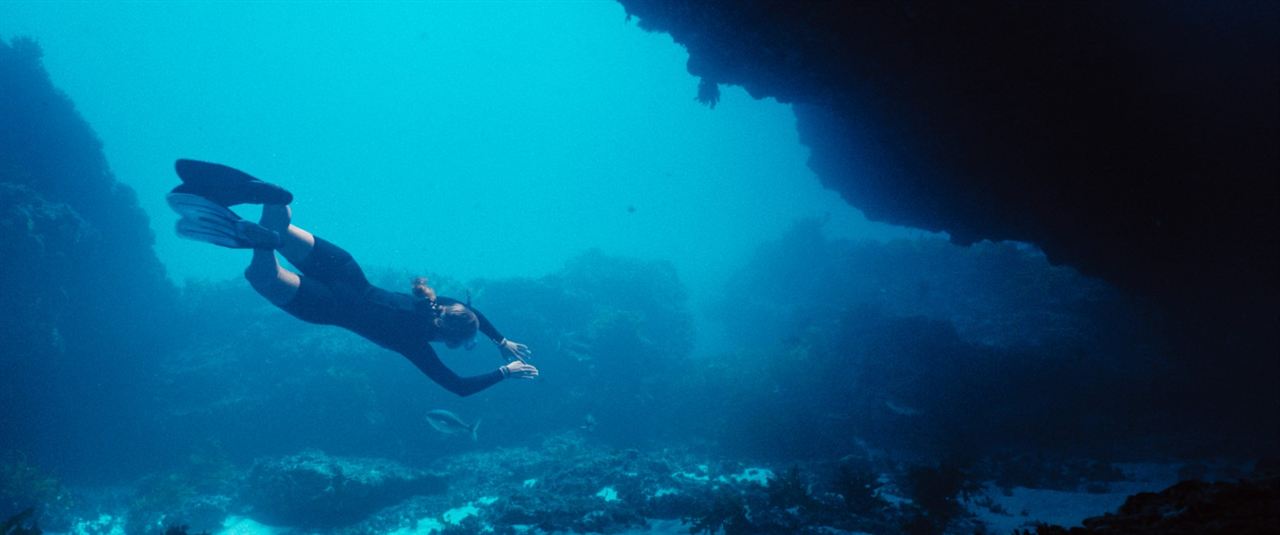 Blueback – une amitié sous-marine : Photo