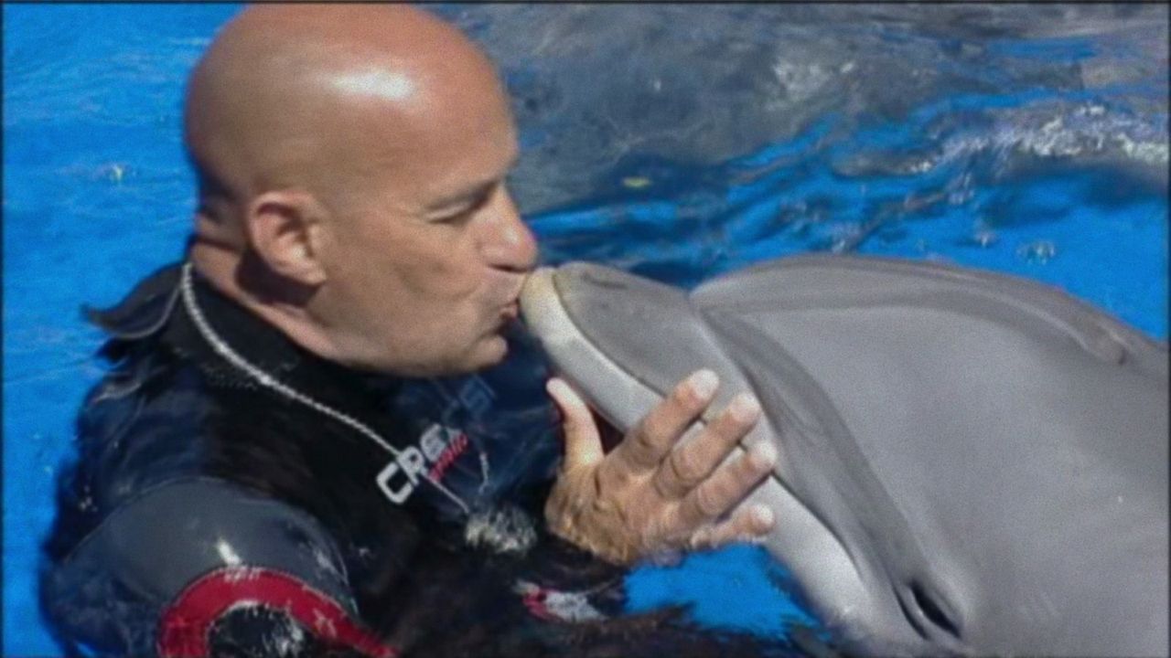 Qu'est-il arrivé au roi des dauphins ? : Photo