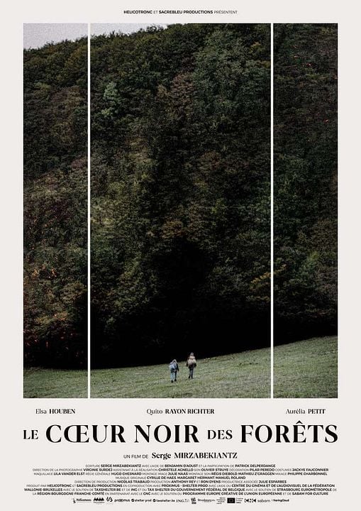 Le Coeur noir des forêts : Affiche
