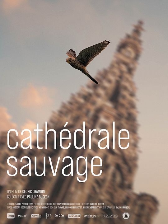 Cathédrale Sauvage : Affiche