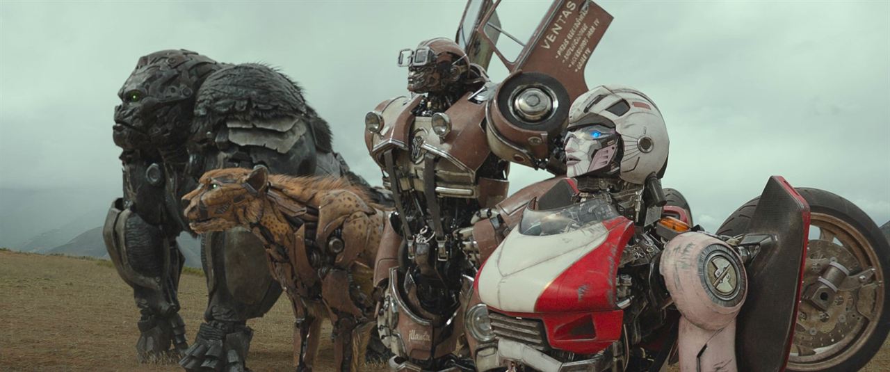 Transformers: Rise Of The Beasts : Photo