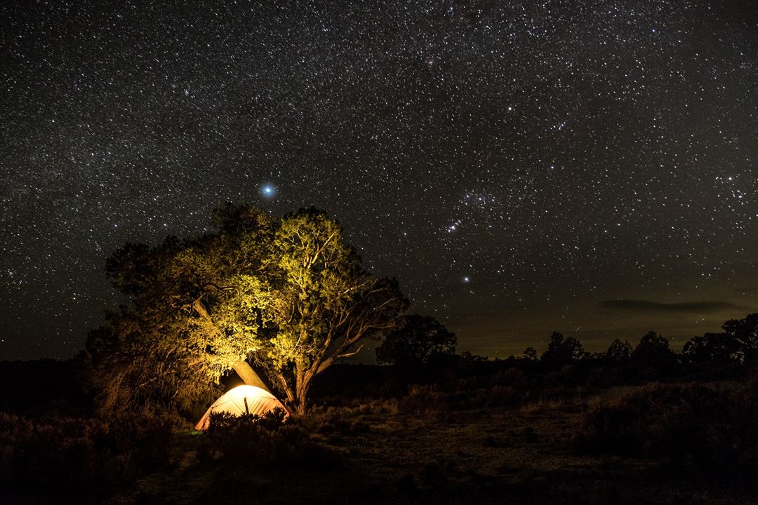 La Voix des Amériques, une aventure au cœur de l’humanité : Photo