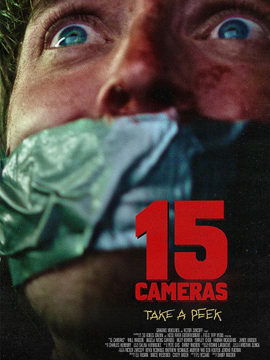 15 Cameras : Affiche