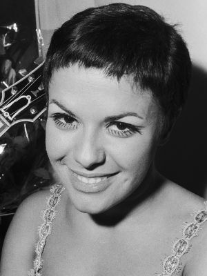 Affiche Elis Regina