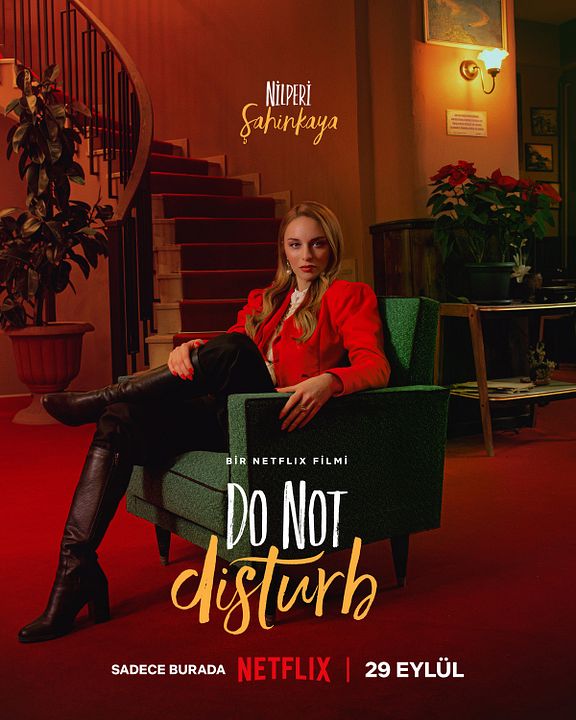 Do Not Disturb : Affiche