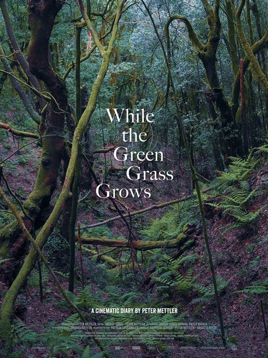 While the Green Grass Grows : Affiche