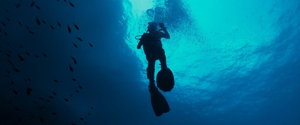 The Dive : Photo