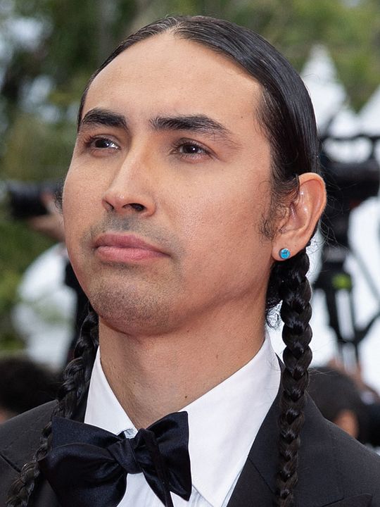 Affiche Tatanka Means