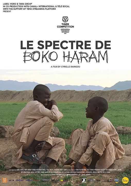Le Spectre de Boko Haram : Affiche