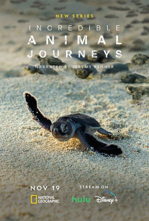 Incredible Animal Journeys : Affiche