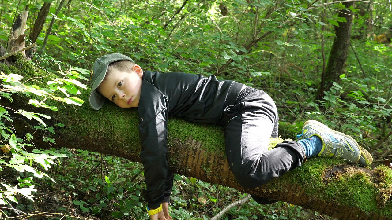 La Forêt, c’est la classe ! : Photo