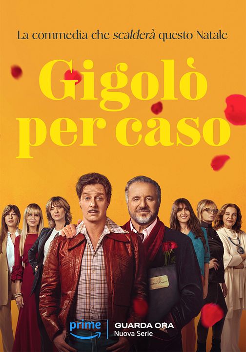 Gigolò per Caso : Affiche