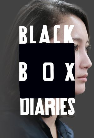 Black Box Diaries : Affiche