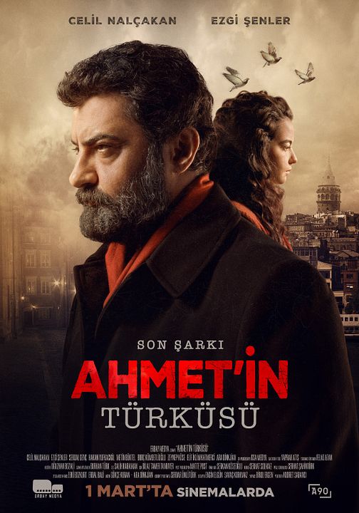 Son Şarkı - Ahmet'in Türküsü : Affiche