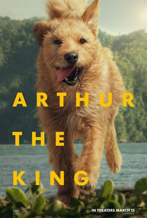 Arthur the King : Affiche