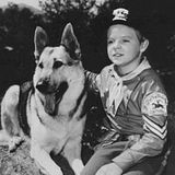 Rintintin Saison 1