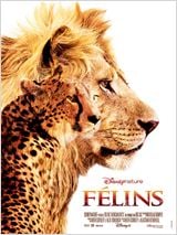 Félins