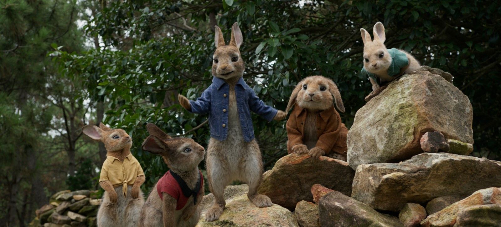 Pierre Lapin Telecharger le film Pierre Lapin