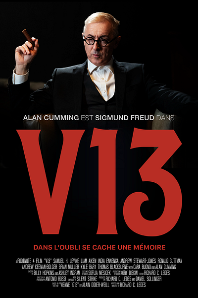 Affiche du film V13