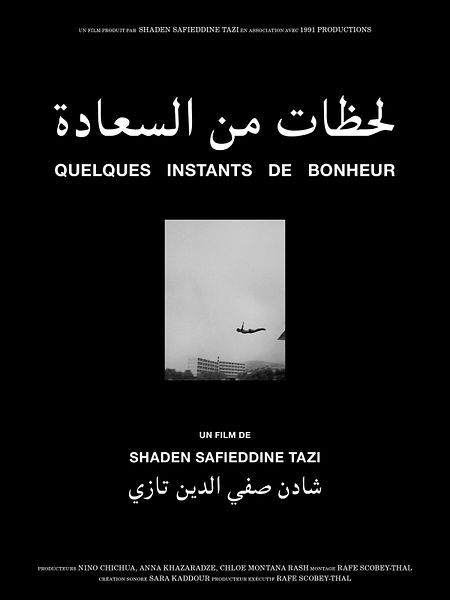 Affiche du film Quelques instants de bonheur