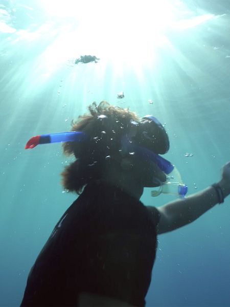 Affiche du film Titouan, les enfants du corail