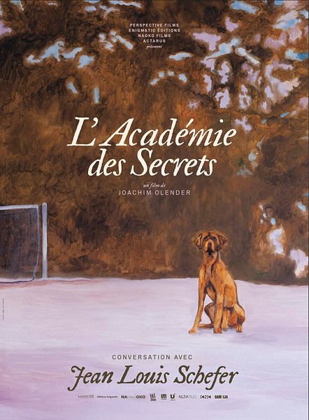 Affiche du film L'Académie des secrets