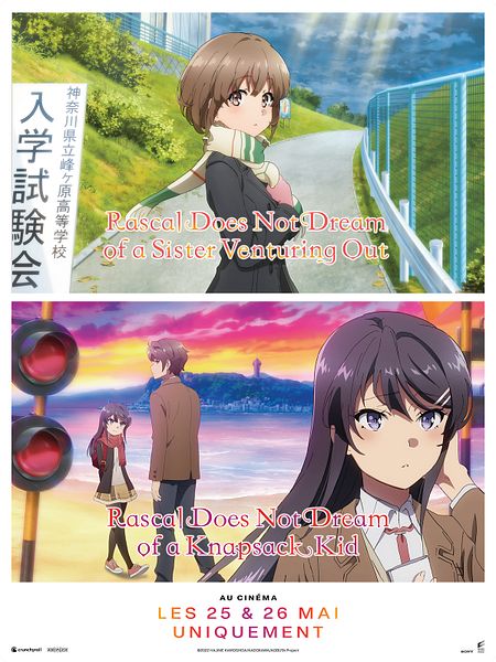 Affiche du film Seishun buta yaro ha Odekake sisuta no yume wo minai