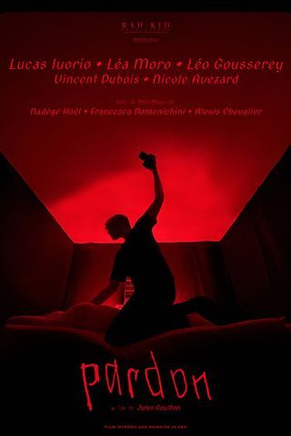 Affiche du film Pardon