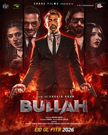 Affiche du film Bullah