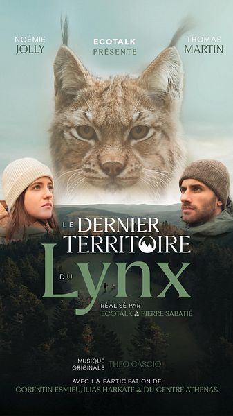 Affiche du film Le dernier territoire du lynx