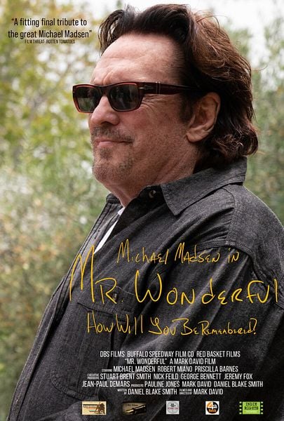 Affiche du film Mr. Wonderful