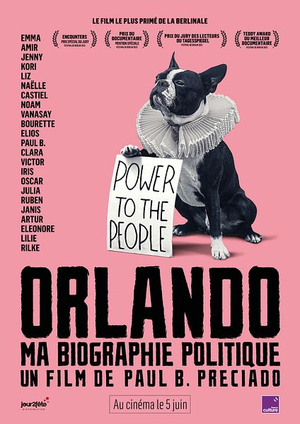 Affiche du film Orlando, ma biographie politique