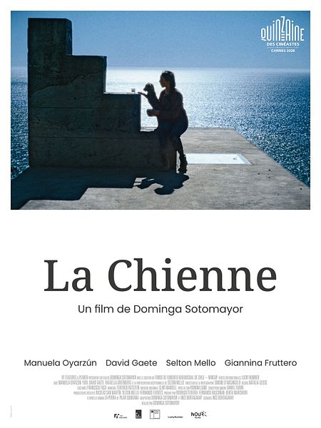 Affiche du film La Chienne
