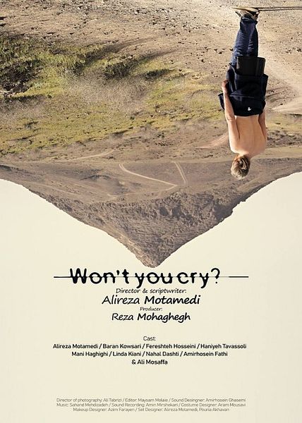 Affiche du film Tu fais pas le poids, shérif!