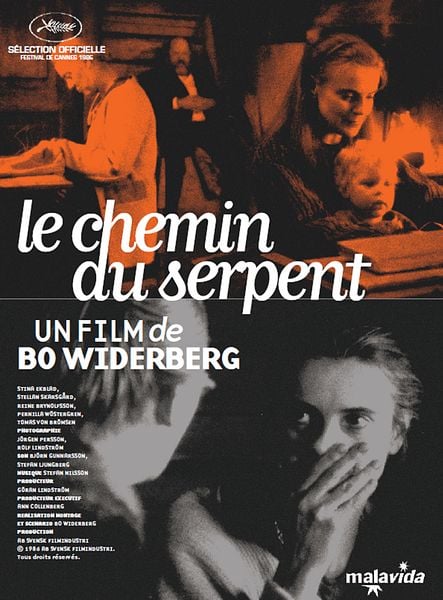 Le chemin du serpent