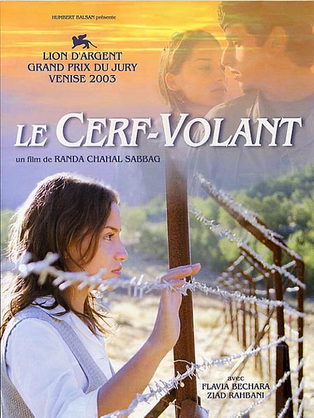 Affiche du film Le cerf-volant