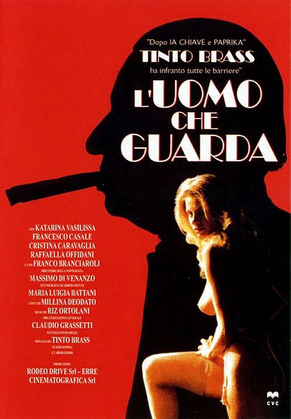 Affiche du film Le voyeur