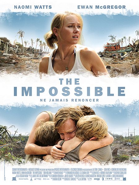 Affiche du film The Impossible