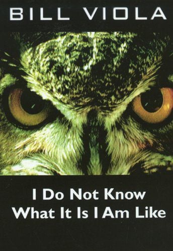 Affiche du film I do not know what it is i am like